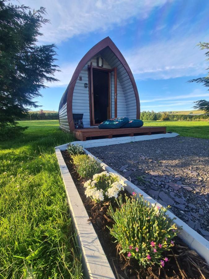 Delightful Camping Pod In Snowdonia, North Wales. Hotel Derwen Ngoại thất bức ảnh